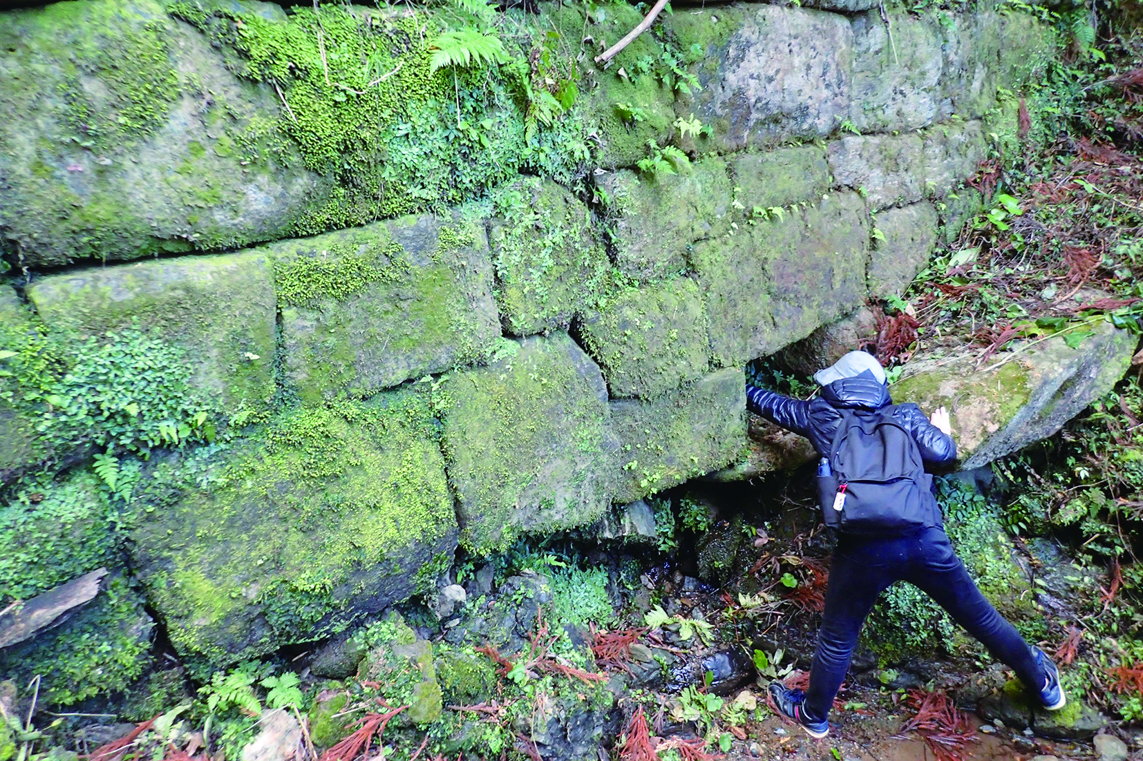 古代山城の現地調査_福岡県女山神籠石遺跡.jpg